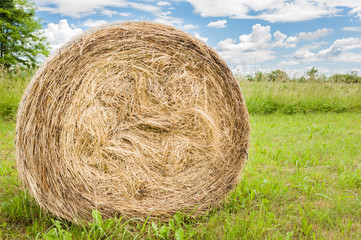 Hay bale.