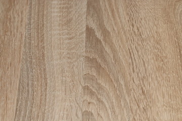 Wood Texture