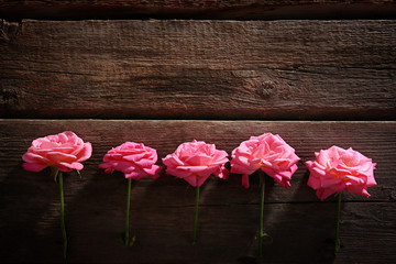 Fototapeta na wymiar Row of beautiful pink roses on wooden table