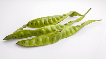 Parkia speciosa isolated on white background