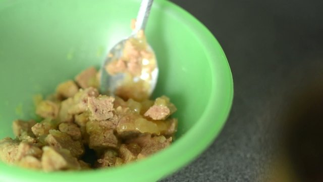 woman returns dog food from bowl back to tin can