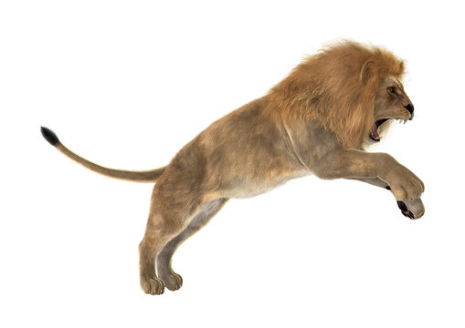 Lion Attack Images – Browse 721,582 Stock Photos, Vectors, and Video | Adobe Stock Lion Attack Images – Browse 721,582 Stock Photos, Vectors, and Video | Adobe Stock