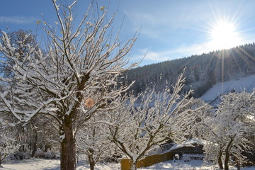 Ausblick auf eine Schneebedeckte Landschaft