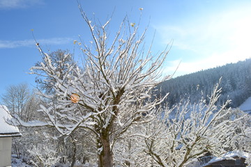 Ausblick auf eine Schneebedeckte Landschaft