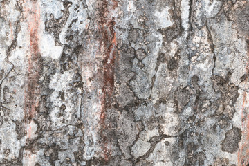 Grunge wall texture with rust and cracks.