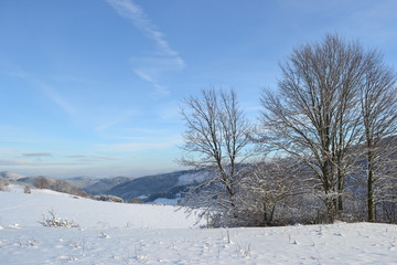 Fototapeta na wymiar Ausblick auf eine Schneebedeckte Landschaft