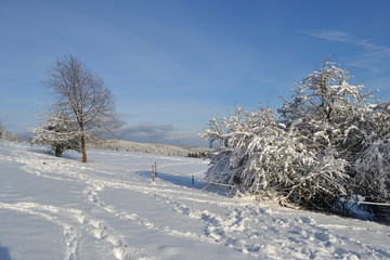 Ausblick auf eine Schneebedeckte Landschaft