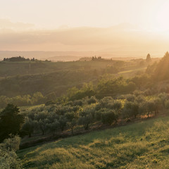 Landscape and sunset. Tuscany, Italy