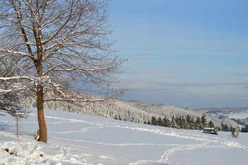 Ausblick auf eine Schneebedeckte Landschaft