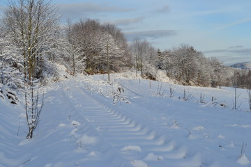 Fototapeta na wymiar Schneebedeckte Schienen