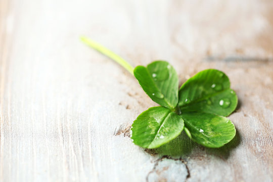 Green clover leaf with drops on wooden background