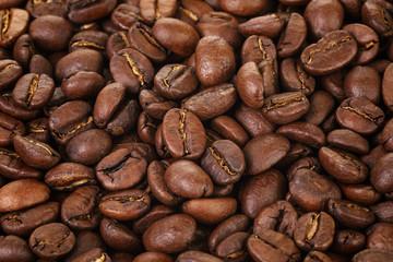 freshly roasted premium coffee beams close up