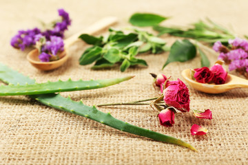 Green herbs and leaves on sackcloth, closeup