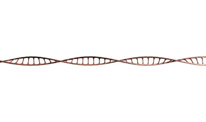 DNA Strand Micro