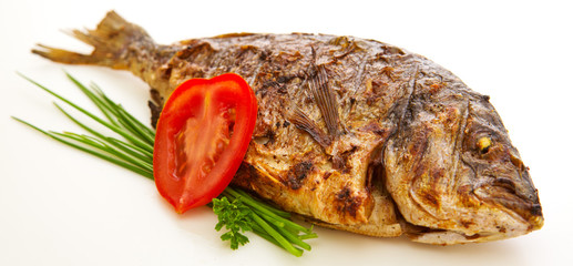 Dorada fish.