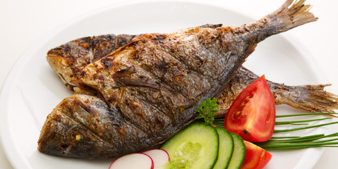 Dorada fish.