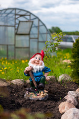 statue of gnome in garden