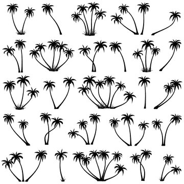 Set of black palm trees on white background