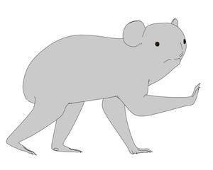 2d illustration of Koala Bear