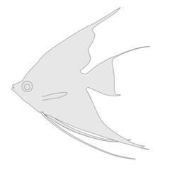 Obraz premium 2d cartoon image of pterophyllum altum
