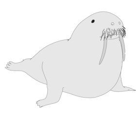 cartoon image of walrus animal