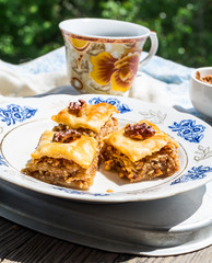 pieces of sweet baklava, garden background, selective focus