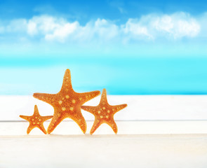 Fototapeta na wymiar Three starfish on the beach.
