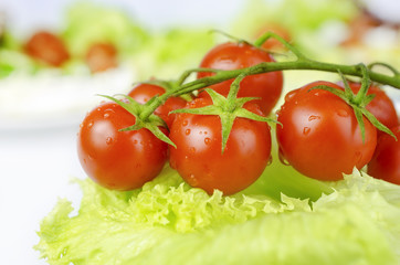 Red tomatoes and green salad leaf