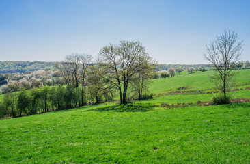 Frühlingslandschaft in Lothringen mit blühenden Obstbäumen