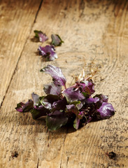 Fototapeta na wymiar Purple basil on a wooden table, selective focus