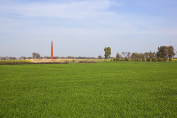 Fototapeta premium punjabi landscape with brickyard