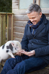 Mature Man Feeding Pet Micro Pig