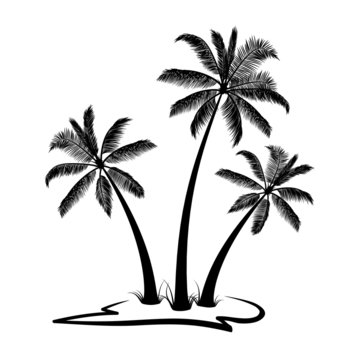 Palm trees silhouette with land isolated on white