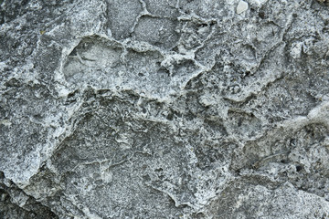 Cement texture background