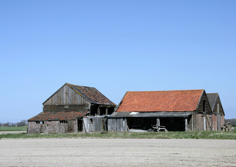 Obraz premium Farm homestead