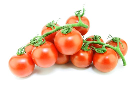 Fresh ripe "Garden Pearl" tomatoes (Solanum lycopersicum) on a vine, on a white background.