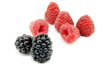 fresh ripe Raspberries
