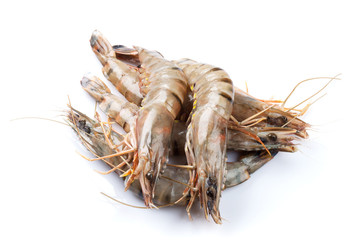 Fresh raw tiger prawns