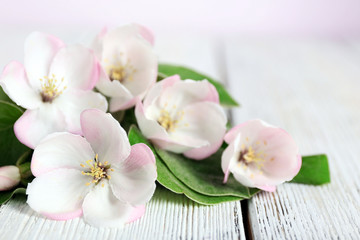 Naklejka na ściany i meble Apple blossom with leaves on wooden table