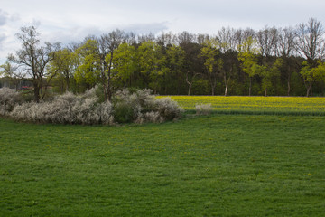 Spring landscape in Bavaria