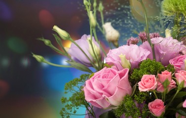 Flower, Tulip, Bouquet.