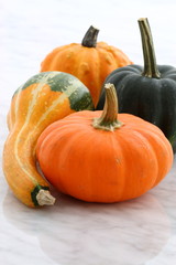 organic summer squash