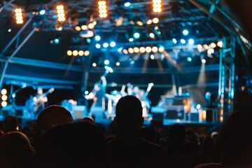 People in a Summer Live Concert at Night