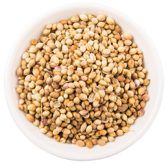 Coriander seeds in white bowl over white background 