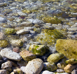 Stones in sea water, Black sea