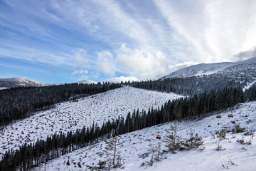 winter mountain forest snow landscape