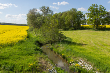 Fototapeta na wymiar Spring landscape in Bavaria