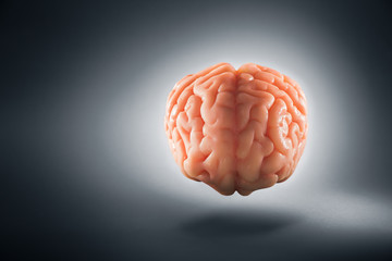 Brain floating on  a grey background / thoughts concept