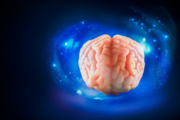 Brain floating on  a blue background / thoughts concept