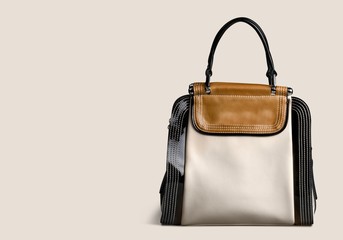 Purse, Fashion, Bag.